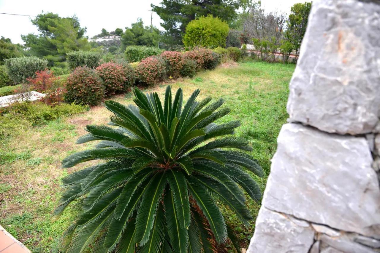 Vila Amalia Theologos  Bagian luar foto
